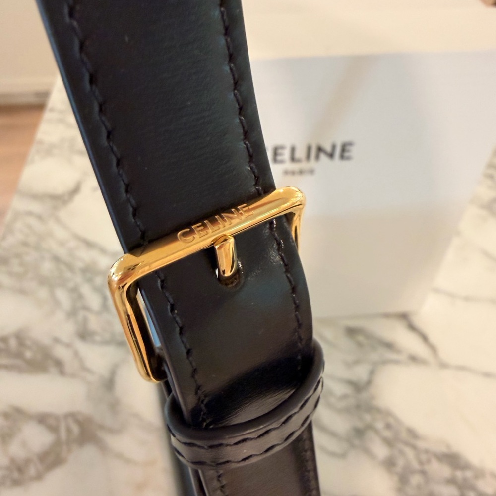 Celine Classique Triomphe bag in Shiny Calfskin with Gold Hardware - Picture 11 of 16